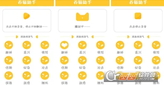 ��è������2025�ٷ����°汾