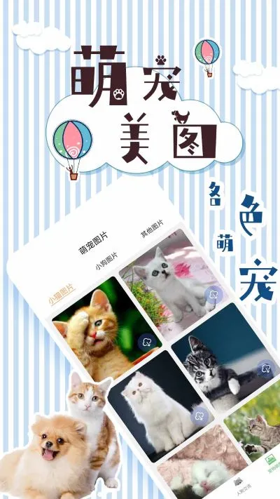 ��è���뽻����2025�ٷ�����