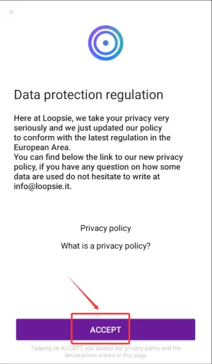 Loopsie2025����