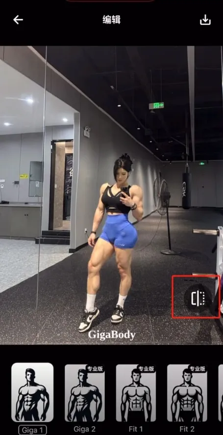 GigaBody��׿���ֻ���