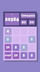 2048��2025����v1.0.5 �ֻ���