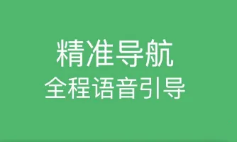 ���е��������ֻ���