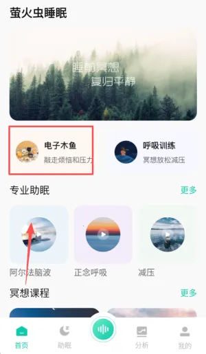 萤火虫睡眠最新手机版 萤火虫睡眠最新手机版