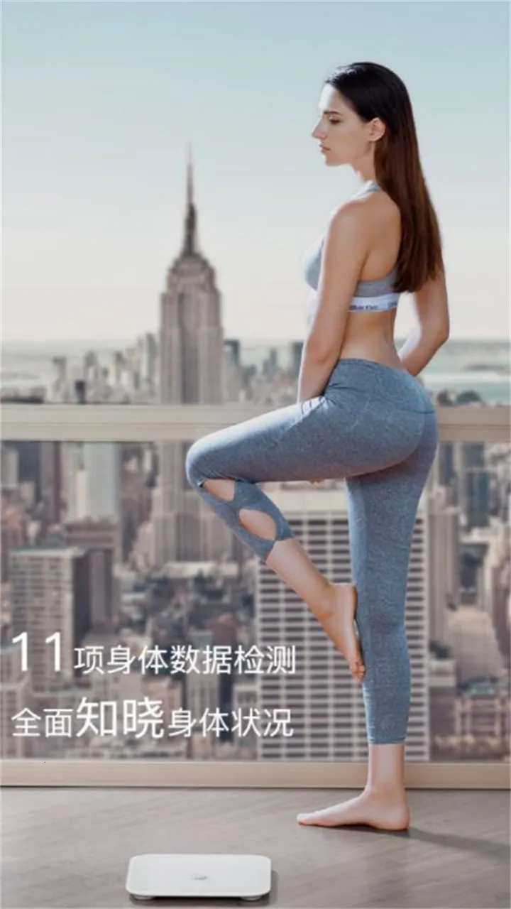 ��ҫ��֬��(��֬���ݷ���)