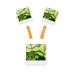 GIF������(��ͼ��������)v3.1.3 �ٷ���