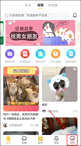 ��è��׿���ֻ���