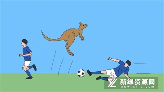 è����2026�ٷ�����