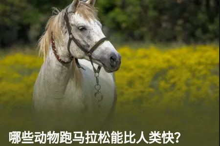 ֪���ձ�2025�ٷ����°汾