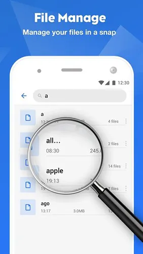 Files2025���ذ�װv11.1.5.300 �ٷ���