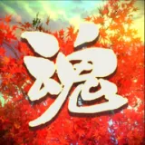 �һ������ֻ���v1.55.1 ��׿��